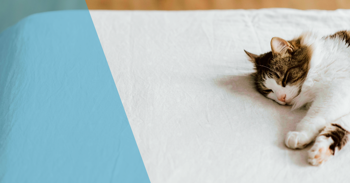 Как да избера протектор за матрак?