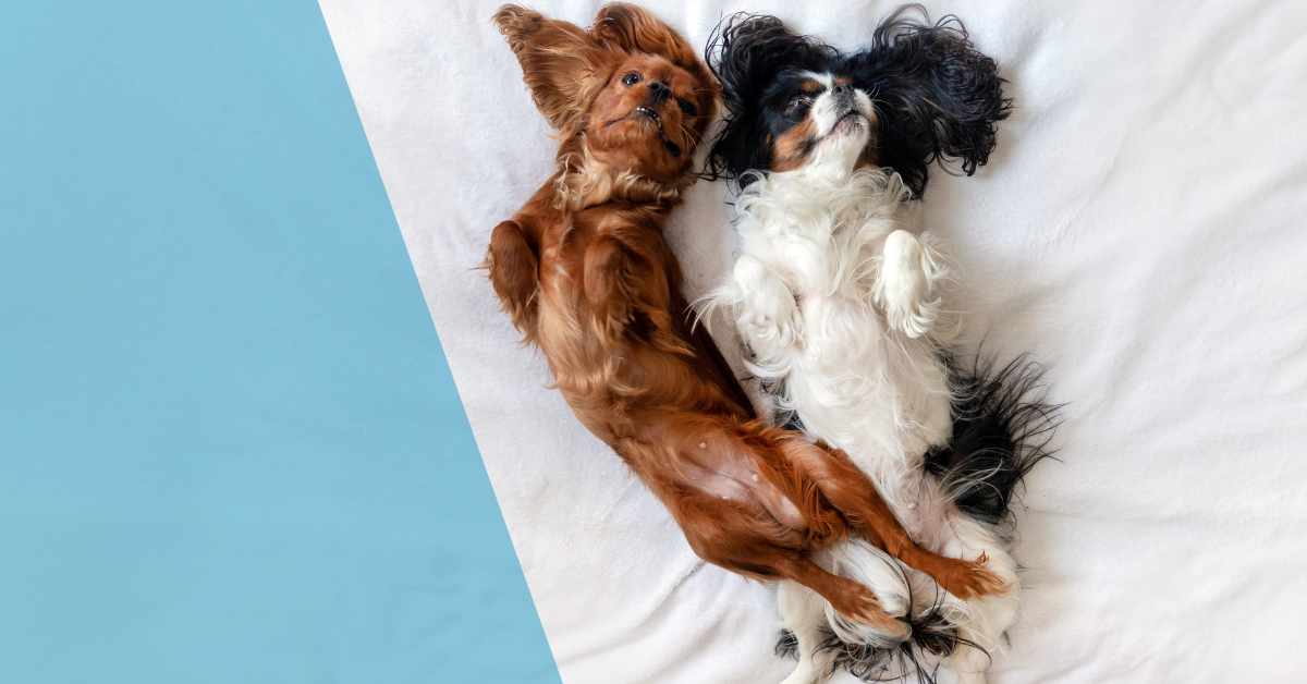 Големите ползи от малко повече сън