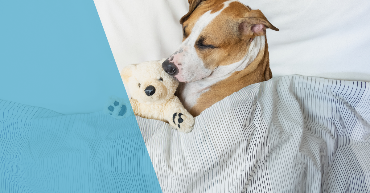 Съвети за бързо заспиване