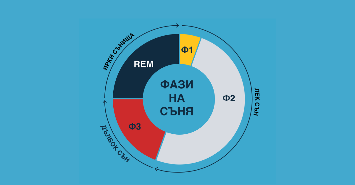 Фазите на сън: кои са и защо са важни