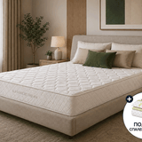 Матрак Cashmere Dream от Тед, 21 см